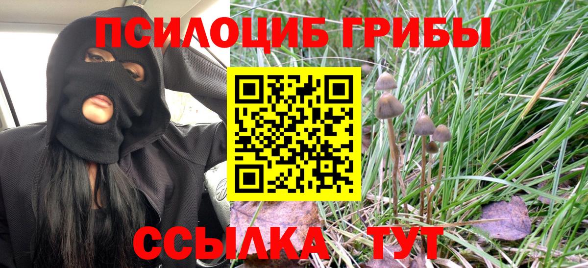 Марихуана Волжск
