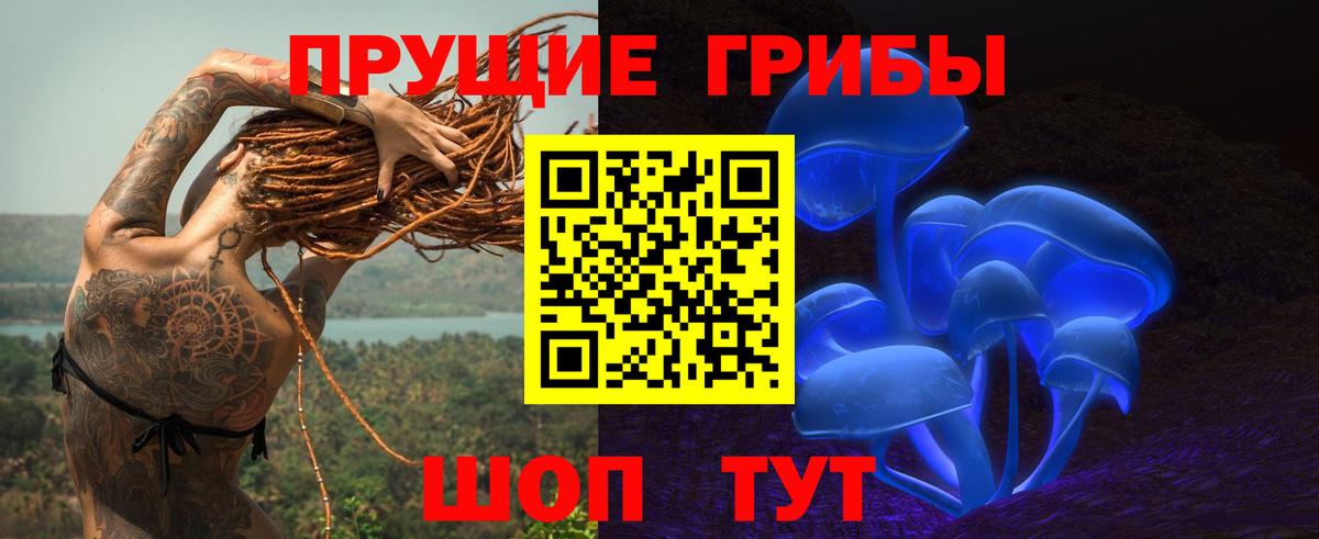 Псилоцибиновые грибы Psilocybine cubensis Волжск